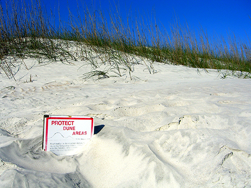 Picture of Anastasia State Park Beach Area