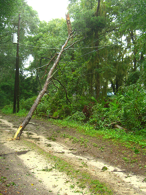 Picture of Tropical Storm Fay damage in Saint Augustine