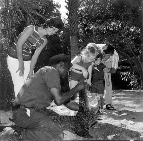 Picture of St. Augustine Alligator Farm historic picture