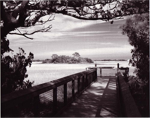 Fort Mose historic state park saint augustine picture