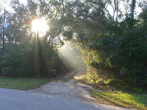 Morning picture from Brainard Dr