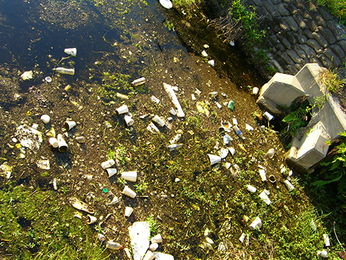 Trash off US-1 near Hospital litter needs clean up