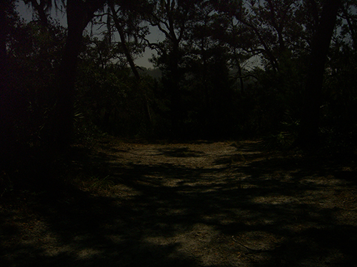 Moses Creek Trail at Night photo