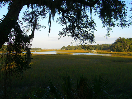 Moultrie Creek View from Shriner's Club Picture