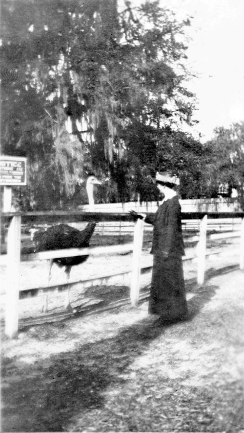 Christine Atwell and Ostrich historic photo