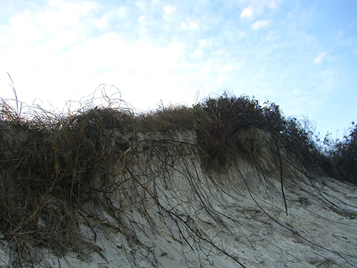 Big Sand Dune Erosion