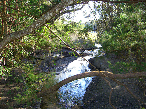 Picture of Shore Drive Stream