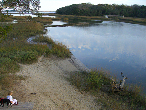 Shore Drive Boardwalk Reflection Photo