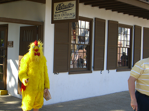 Photo of Chicken on St. George Street 