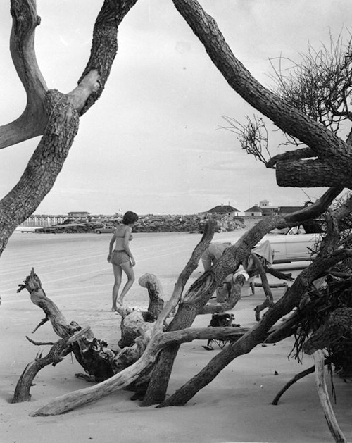 Picture of Bathers at Anastasia State Park (FA)