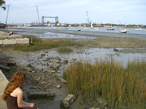 Picture of Bridge of Lions and Intracoastal Lowtide 