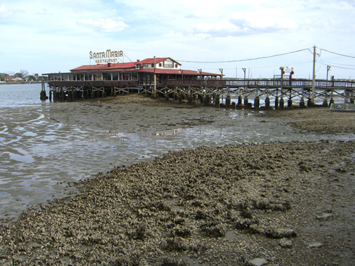 Santa Maria Low Tide Picture