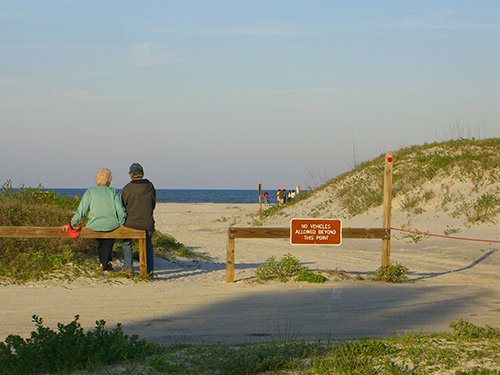 Watching Waves Photo