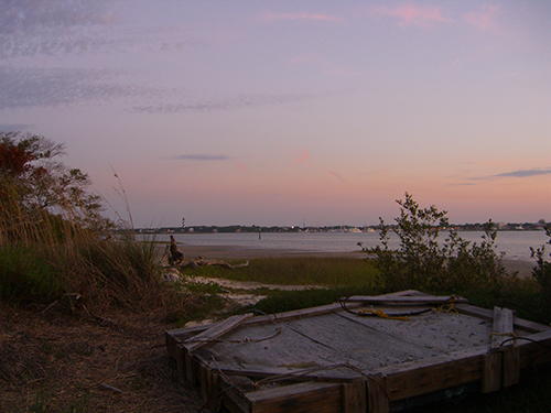 Washed Up Storm Debris Photo