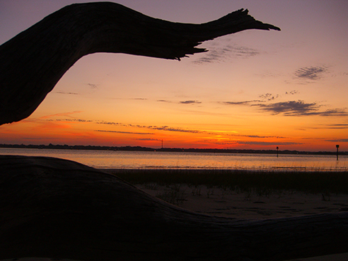 Driftwood Sunset Photo