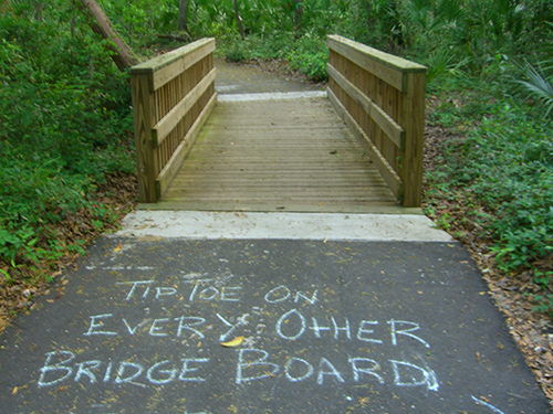 Tip Toe Bridge Photos