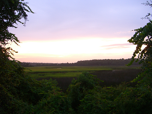 My Daily View of Moultrie Creek Picture