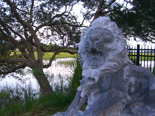 Lion Sculpture Picture