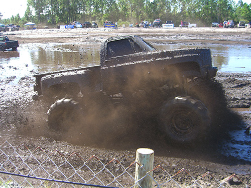 Gettin It at Augey Bog Photo