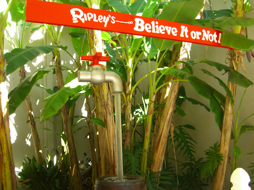 Ripley's Water Faucet Photo