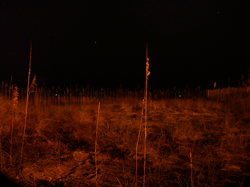 Dunes at Night Photo