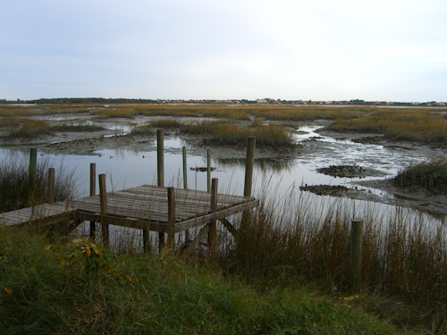 Intracoastal Low Tide Dock Picture