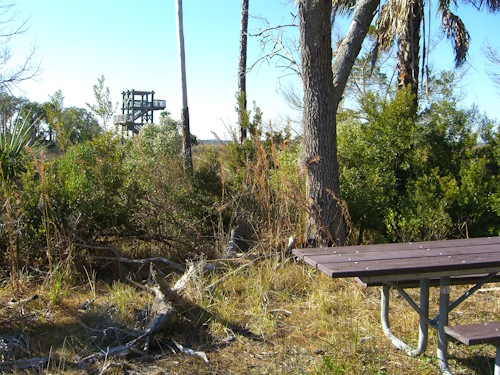 Guana State Park Picnic Table Picture