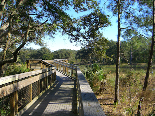Guana Tolomato Matanzas National Estuarine Research Reserve Boardwalk Photo