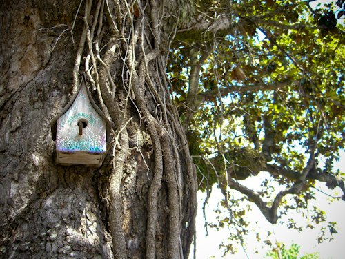Charlotte Street Birdhouse Photo