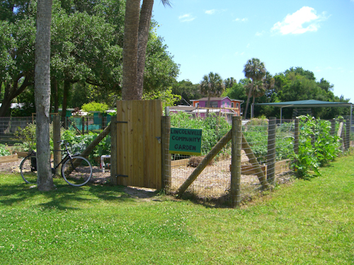 Lincolnville Community Garden Pictures