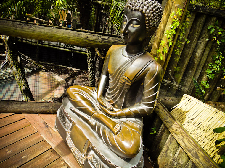 Photo of Sitting Bronze Buddha St Augustine Alligator Farm