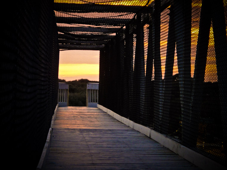 Bridge Walkway Sunset St Augustine Florida Picture