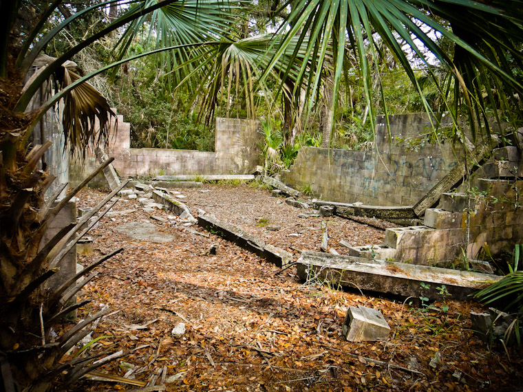 Building Remains in Woods St Augustine Florida Picture