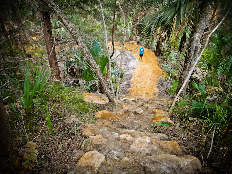 Picture of Hobo's Trail MTB Rock Drop St Augustine Florida