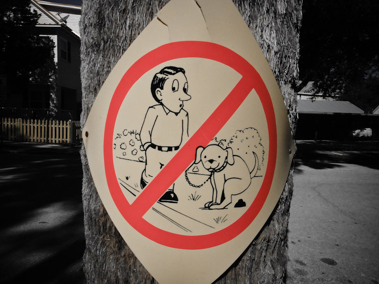 Picture of St Augustine Florida Doggie Doo Doo sign