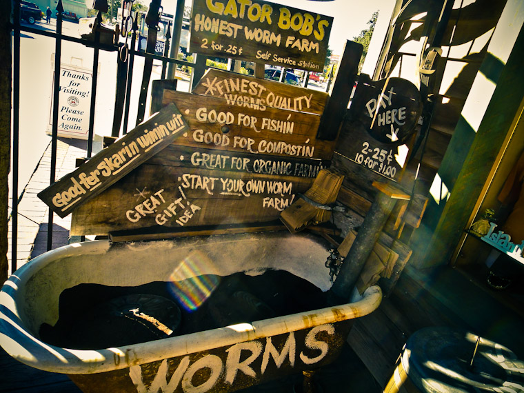 Honest Worm Farm at Gator Bob's St Augustine Florida