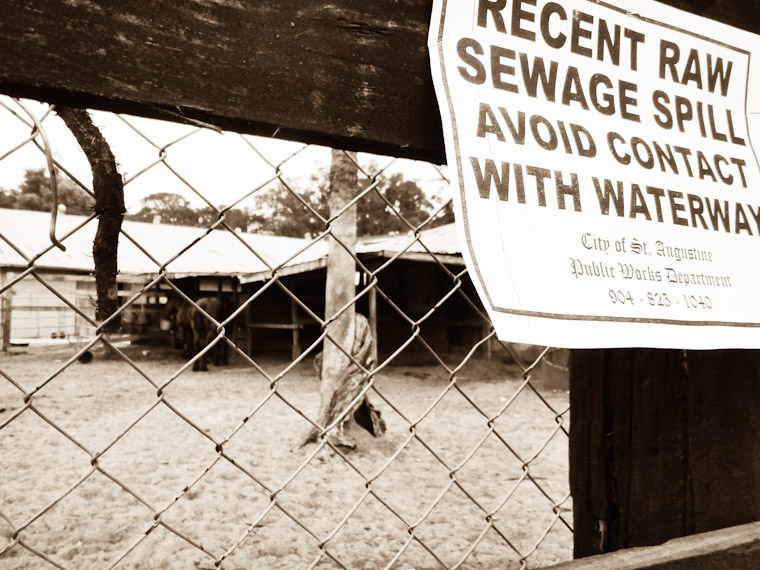 Picture of Horse Stable Sewage Spill in Saint Augustine Florida