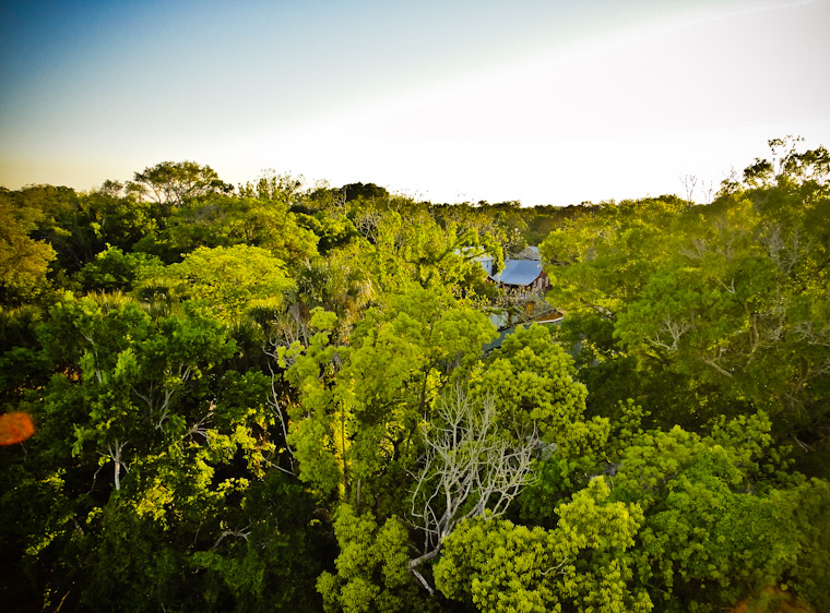 Picture of Lincolnville Trees in St Augustine Florida