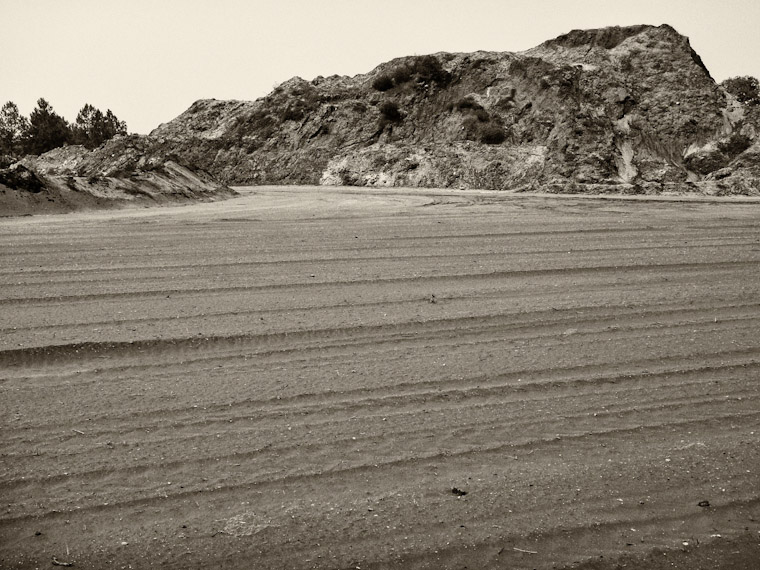 Picture of Dirt Tracks in Saint Augustine Florida