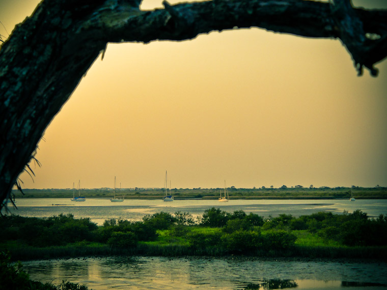 Photo of Branch Framed Sailboats in St Augustine Florida