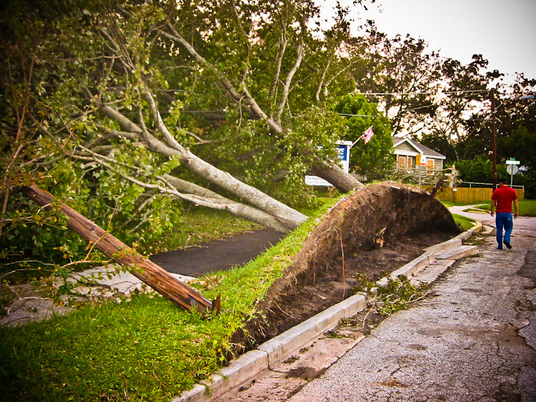 Picture of 2004 hurricane tree damage in saint augustine florida