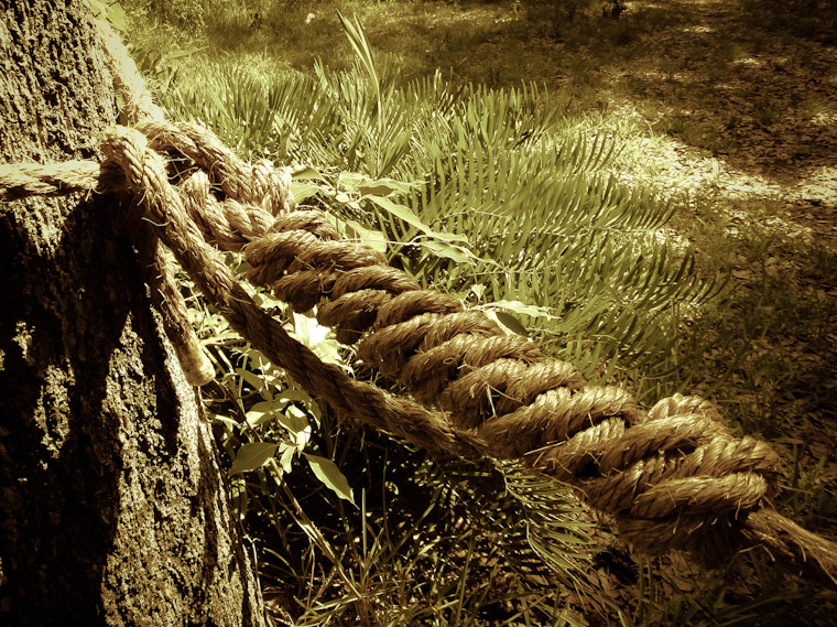 Picture of a Rope Knot in St Augustine Florida