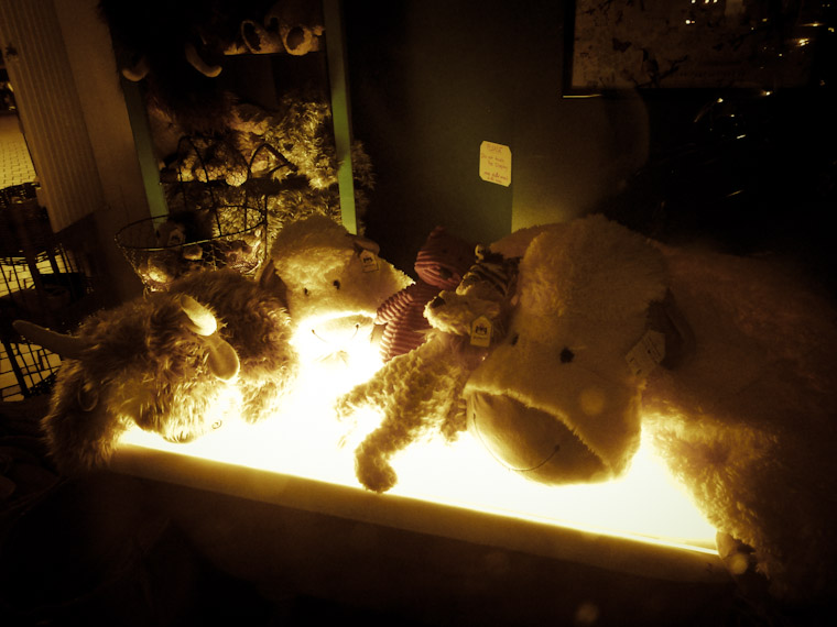Stuffed Animal Glow in St Augustine Florida Picture