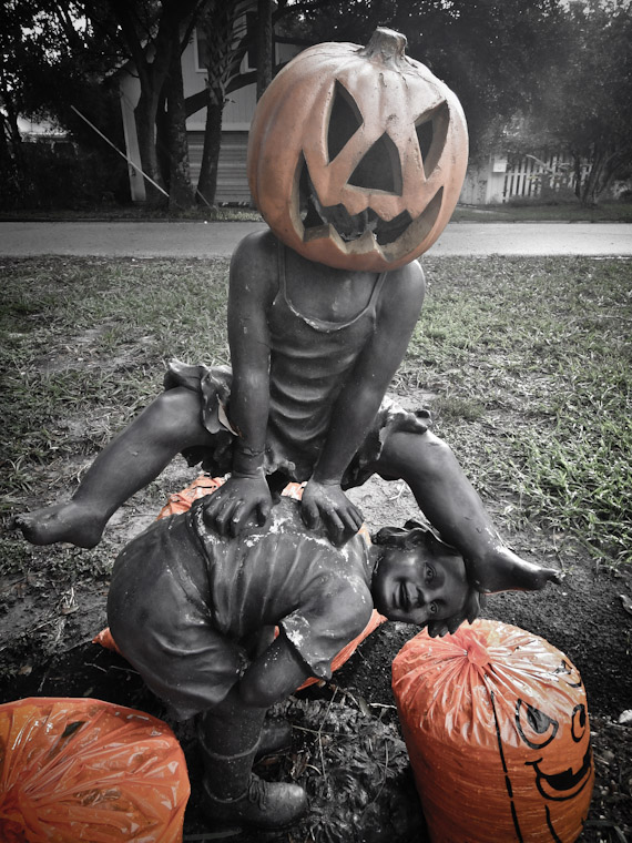 Picture of Jack-O-Lantern Leap frog in St Augustine Florida