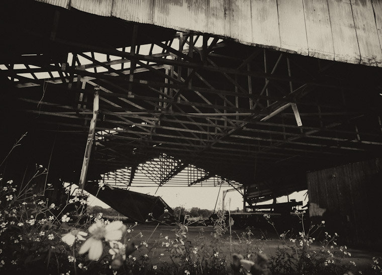 Photo of collapsing barn flowers in Hastings Florida