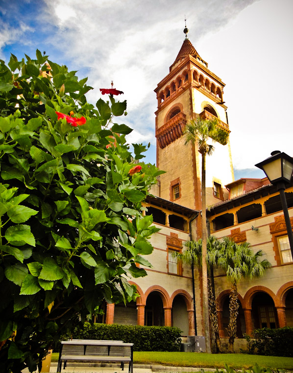 Photo of Flagler Tower Hibiscus in St Augustine Florida