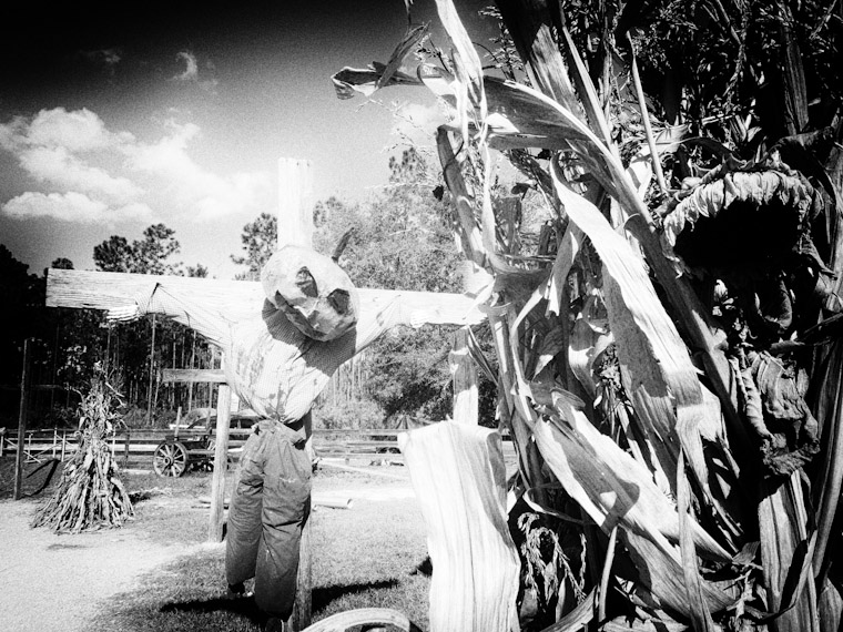 Pinhole photo of Crucified pumpkin man at Florida Agricultural Museum