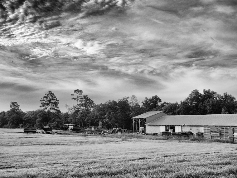 Picture of field of farm equipment in Hastings Florida