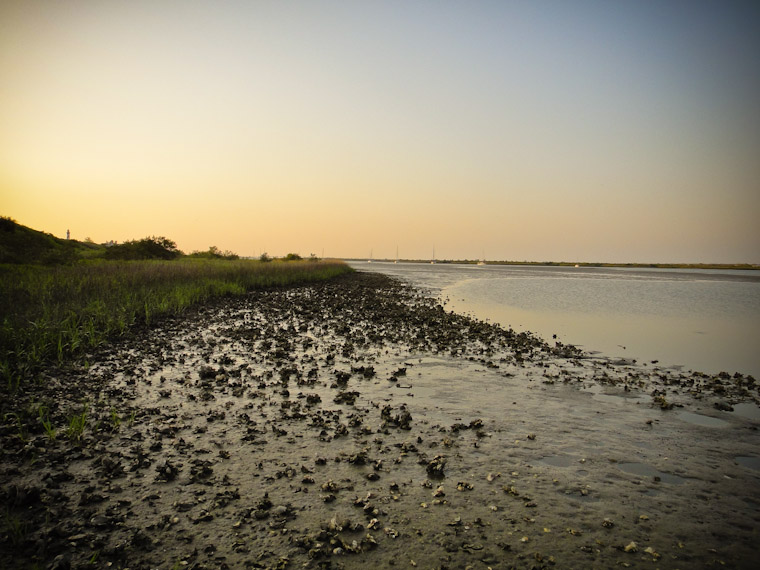 Anastasia State Park Marsh picture in St Augustine Florida