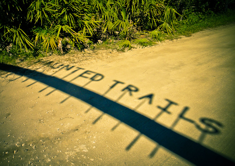 Photo of Haunted trails shadow in Flagler County Florida